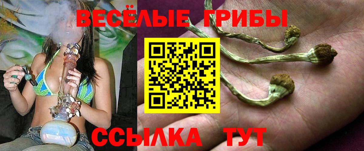 Копейск  Псилоцибиновые грибы мухоморы  Вход с VPN 